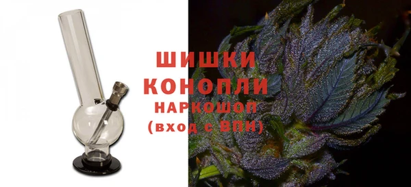ПСИЛОЦИБИНОВЫЕ ГРИБЫ Аркадак