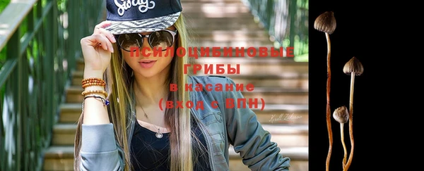 ПСИЛОЦИБИНОВЫЕ ГРИБЫ Аркадак