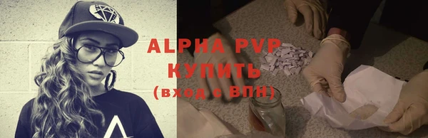 стаф Алексин