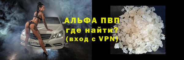 гидра Арсеньев