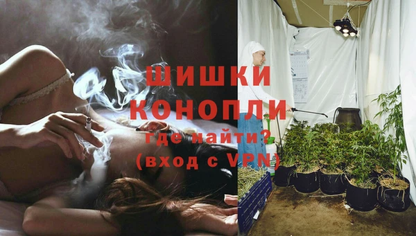ПСИЛОЦИБИНОВЫЕ ГРИБЫ Аркадак