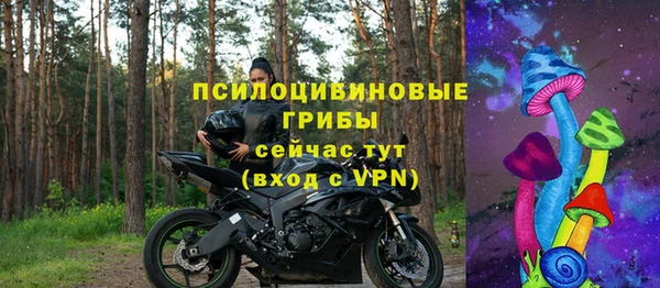 гидра Арсеньев