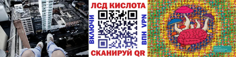 дарнет шоп  blacksprut как войти  Наркотические марки 1,5мг  Бердск 