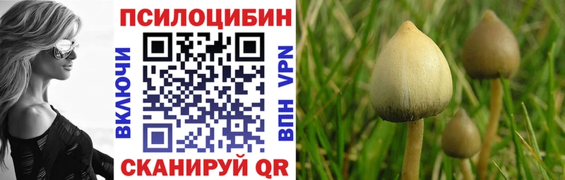 Псилоцибиновые грибы прущие грибы Бердск