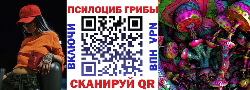 Галлюциногенные грибы Magic Shrooms  Бердск 